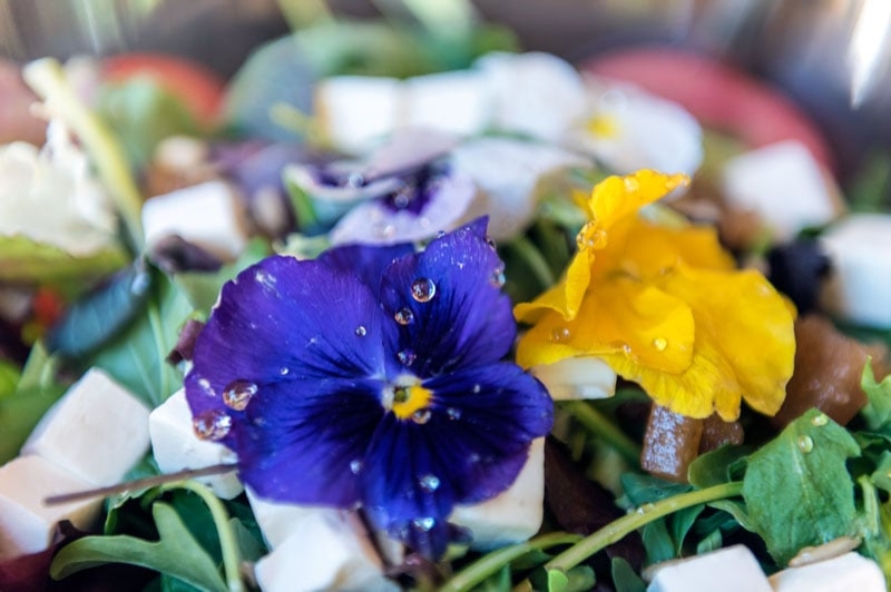 Braseria Les Comes (Amanides2)