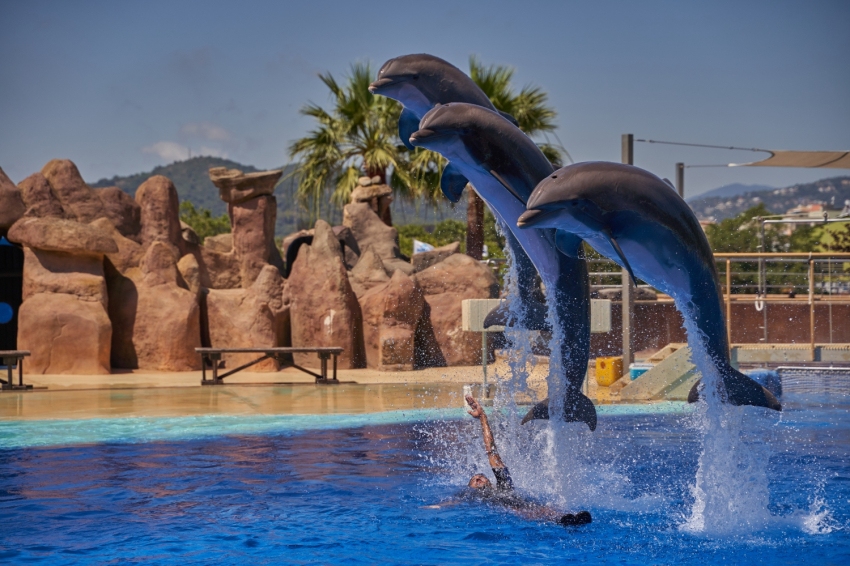 Marineland (Marineland)