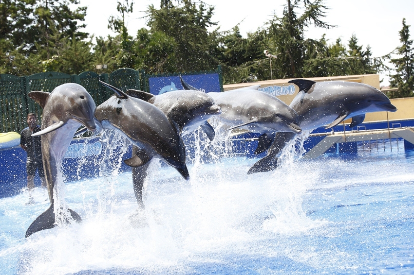 Marineland (Marineland)