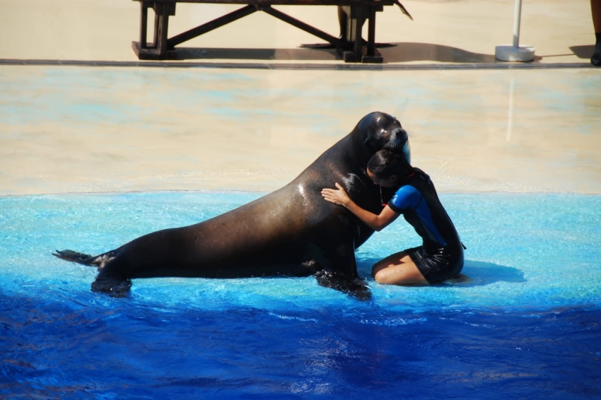 Marineland (Marineland)