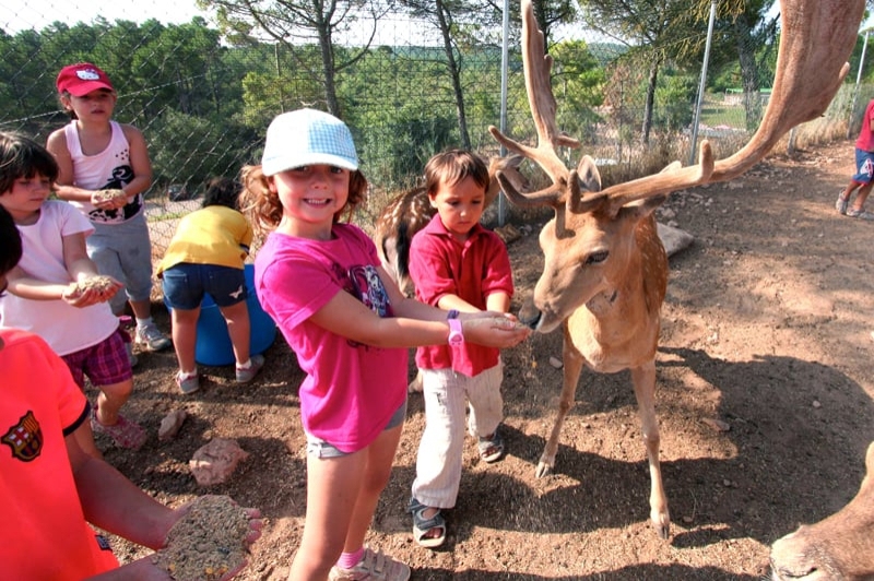 Granja Natura (Centre dApropament a la Natura) (Casals Estiu 1)