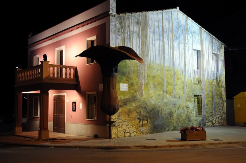 Museu dart del Bolet (Exterior Nit)