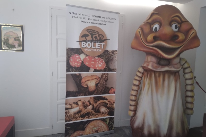 Museu dart del Bolet (Museu Del Bloet Montmajor)