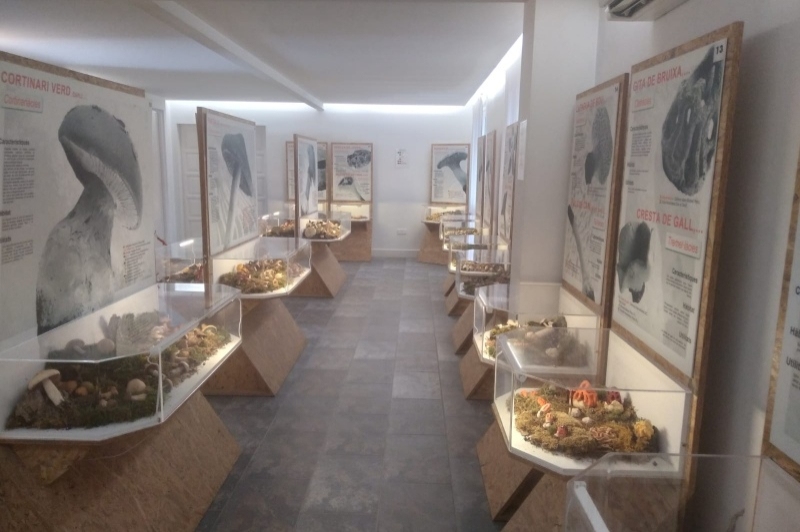 Museu dart del Bolet (Museu Del Bloet Montmajor)