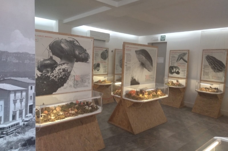 Museu dart del Bolet (Museu Del Bloet Montmajor)