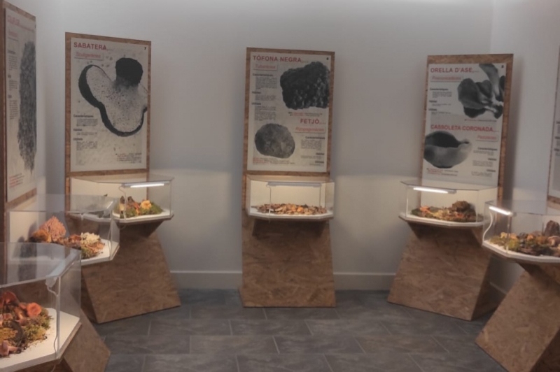 Museu dart del Bolet (Museu Del Bloet Montmajor)