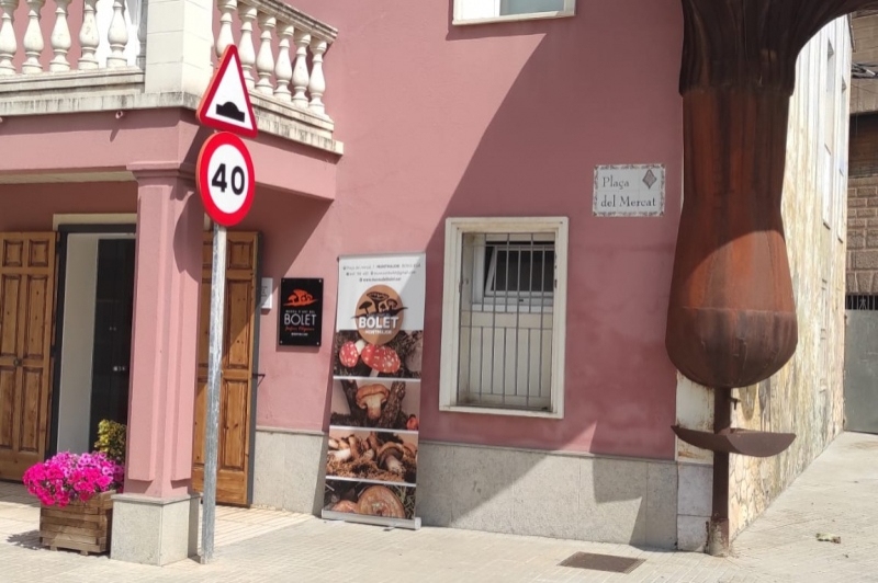 Museu dart del Bolet (Museu Del Bloet Montmajor)
