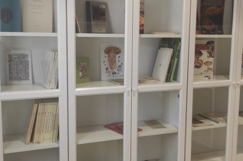 Museu dart del Bolet (Museu Del Bloet Montmajor)