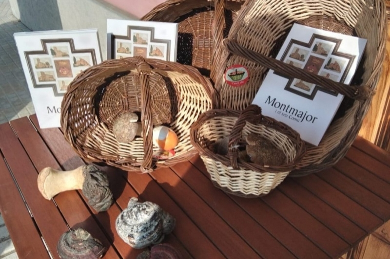 Museu dart del Bolet (Museu Del Bloet Montmajor)