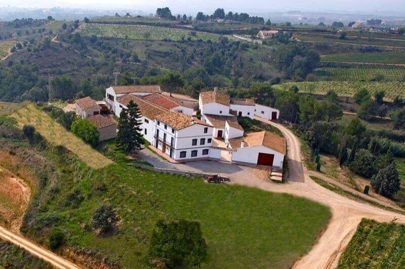 Bodega Miquel Jané (Bodega Miquel Jane1)