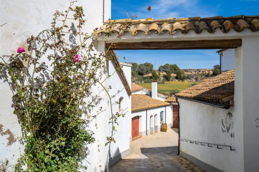 Bodega Miquel Jané (Bodega Miquel Jane)