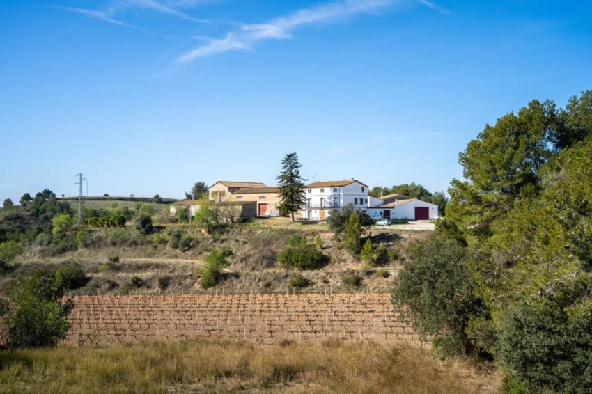 Bodega Miquel Jané (Bodega Miquel Jane)