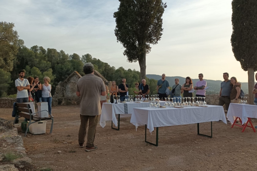 Castell de Gelida (Castell De Gelida)