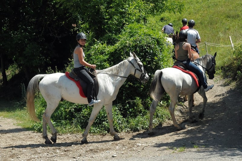 Rafting Llavorsí (Hipica)