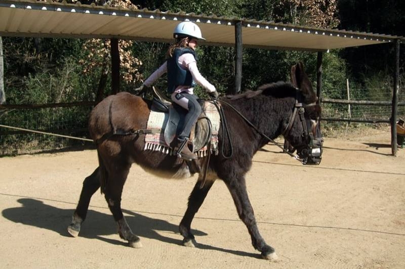 Rukimon - Rucs del Corredor (Montar Un Ruc)