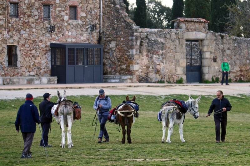 Rukimon - Rucs del Corredor (Preparacio Rucs)