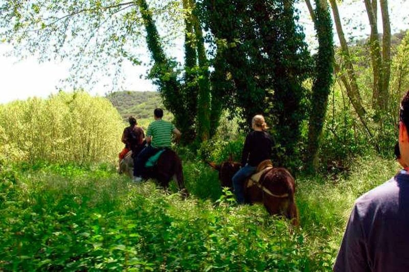 Rukimon - Rucs del Corredor (Ruta Amb Ruc)