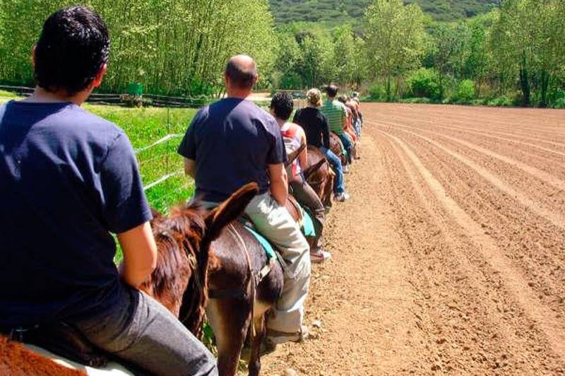 Rukimon - Rucs del Corredor (Ruta Amb Ruc)