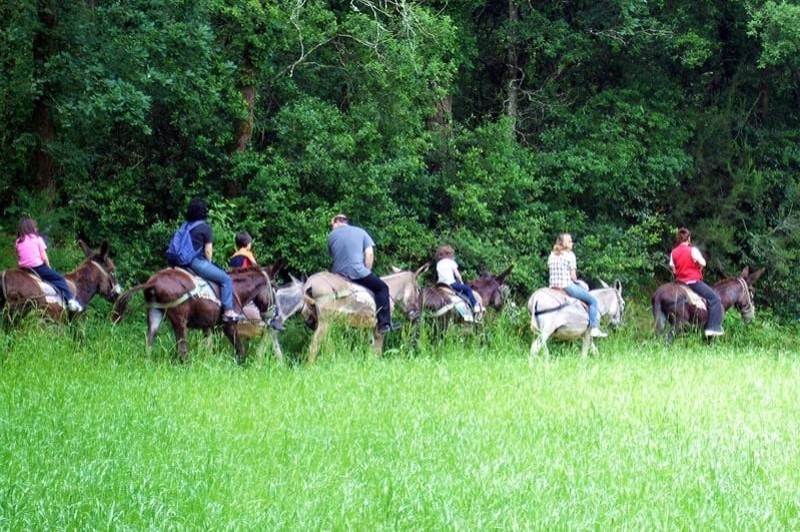 Rukimon - Rucs del Corredor (Ruta Amb Ruc)