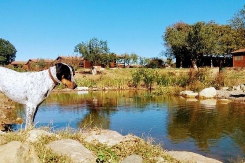 Càmping Ecocamp Vinyols (Ecocamp Vinyols)