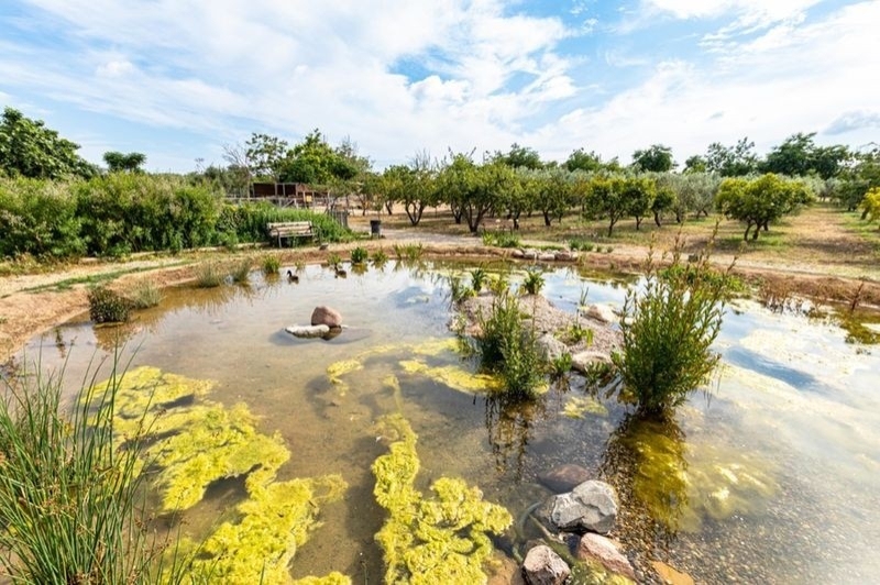 Càmping Ecocamp Vinyols (Estany)