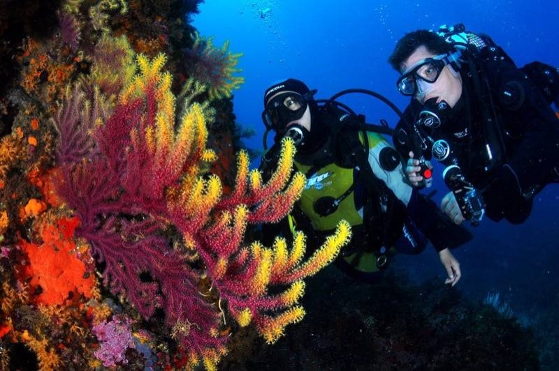 Begur Dive (Exploracio)