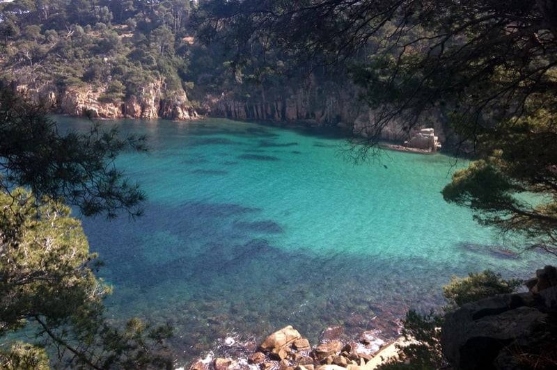 Begur Dive (Zona Inmersio)