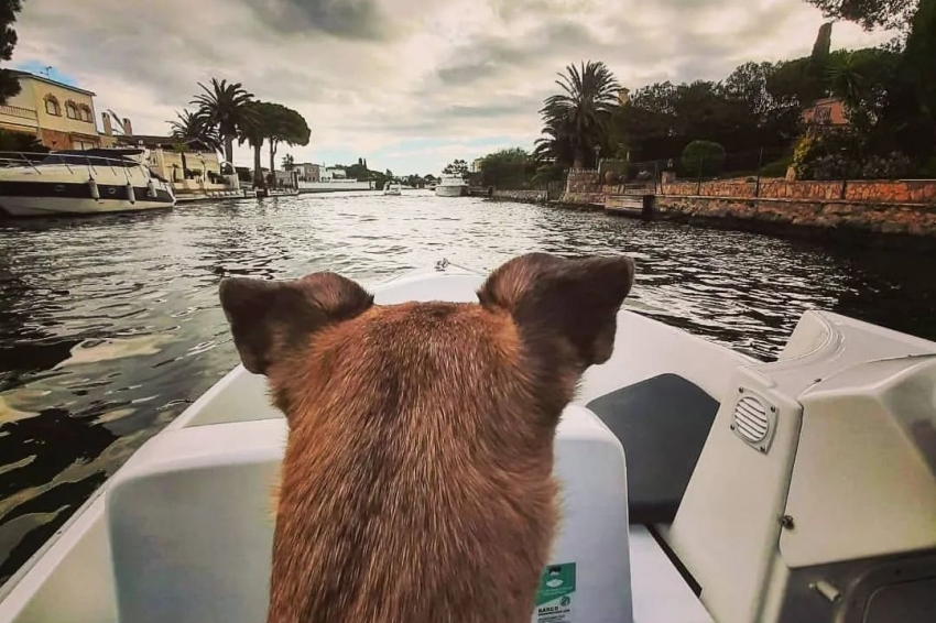 Ecoboats ( Ecoboats)