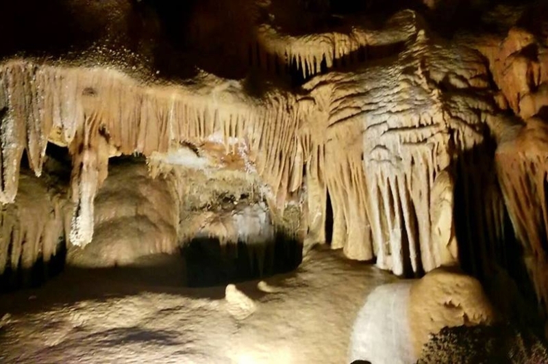 Coves de Benifallet (Coves De Benifallet)