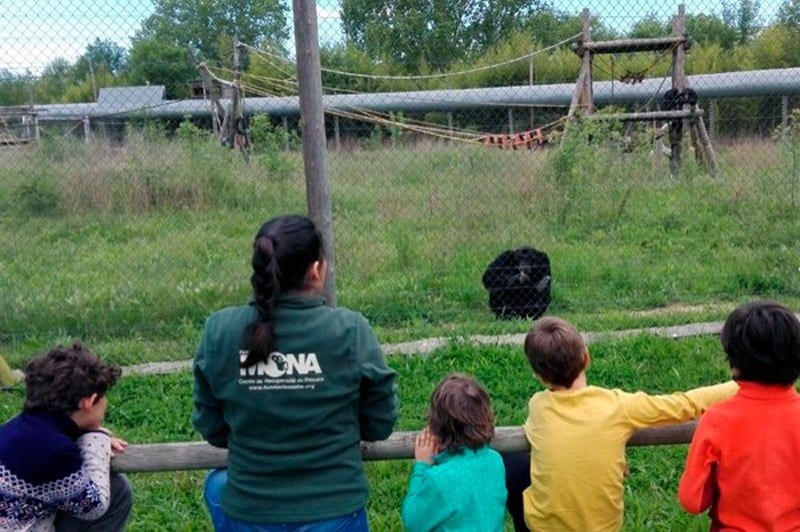 Fundació Mona (Activitats 3)