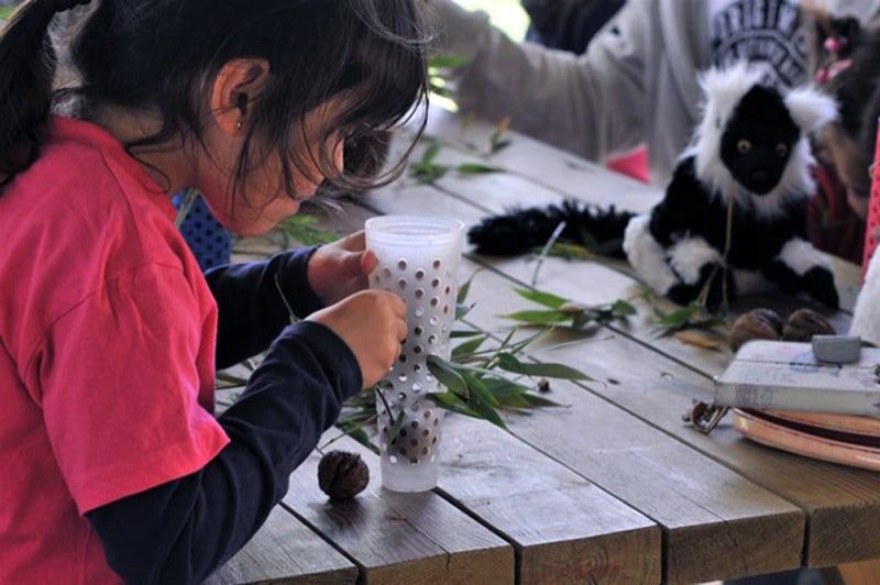 Fundació Mona (Activitats)