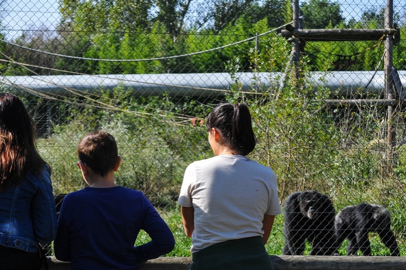 Fundació Mona (Fundacio Mona)