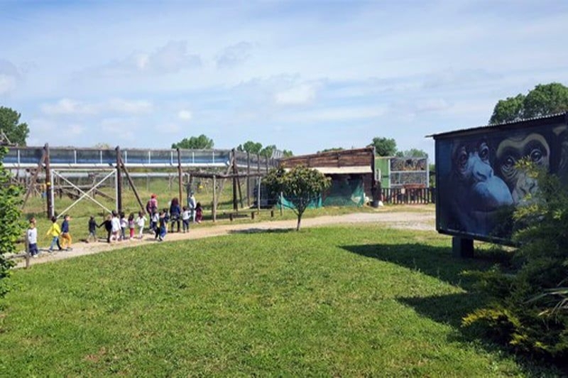 Fundació Mona (Granja)