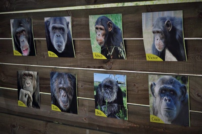 Fundació Mona (Mones)