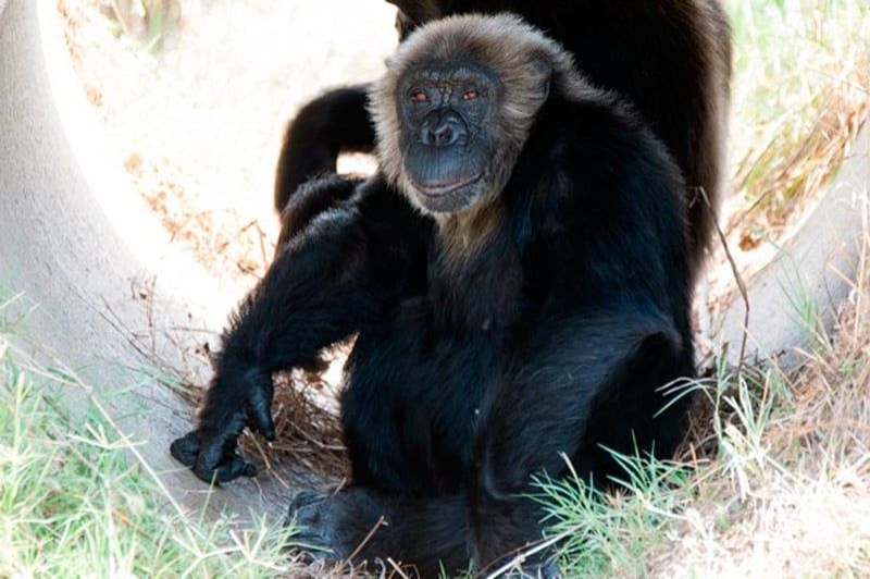 Fundació Mona (Mona 2)