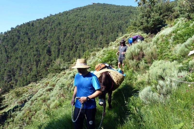 Ramat de Camins (Rutes)