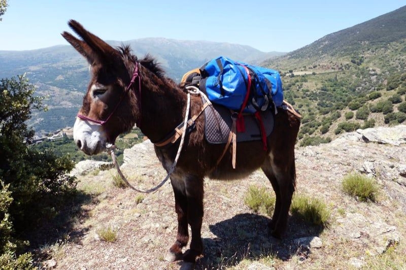 Ramat de Camins (Ramat)