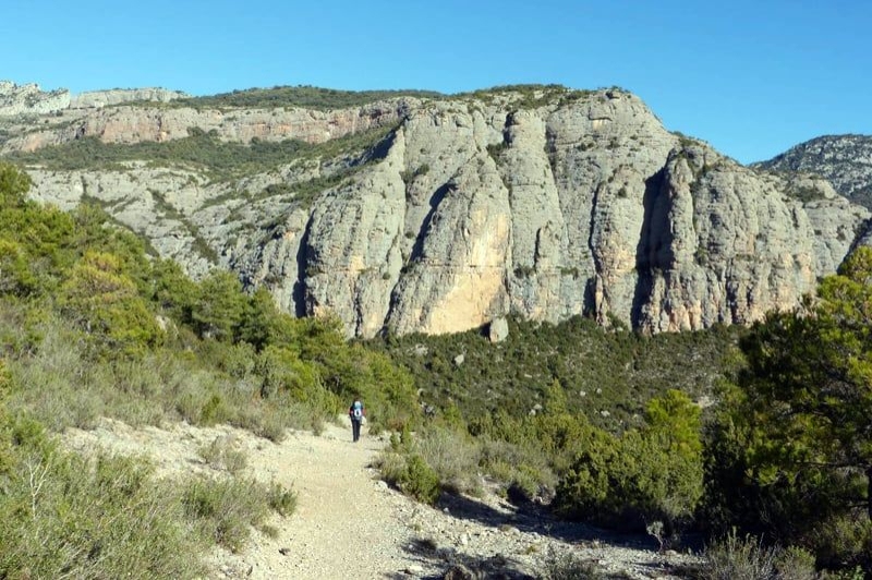 Ramat de Camins (Camins)