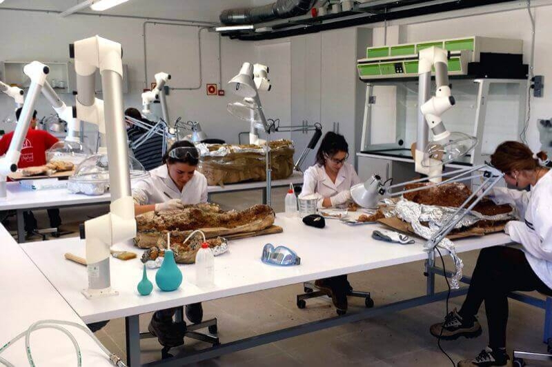 Paleoturisme a Hostalets de Pierola (Laborartori)