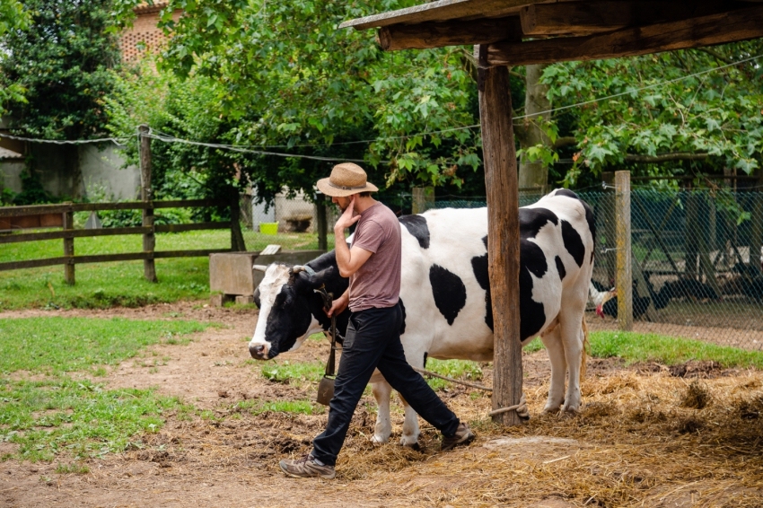 Mas Casablanca (MasCasablanca 01)