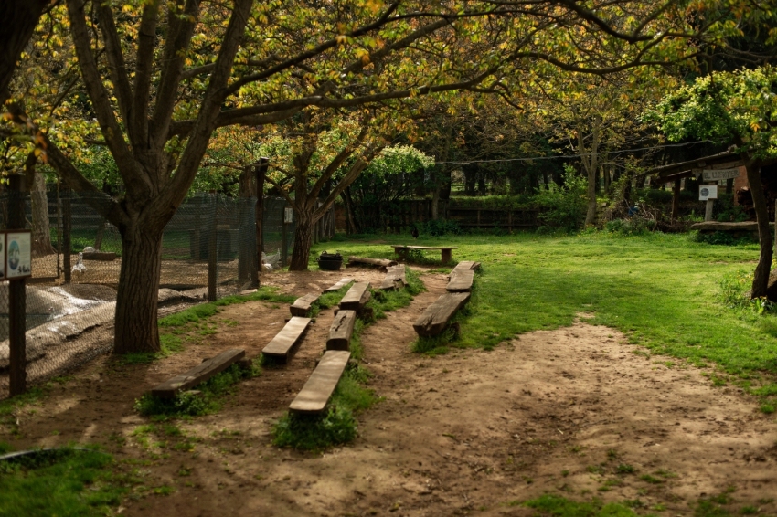 Mas Casablanca (MasCasablanca 07)