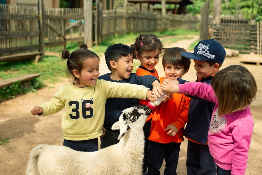 Mas Casablanca (MasCasablanca 10)