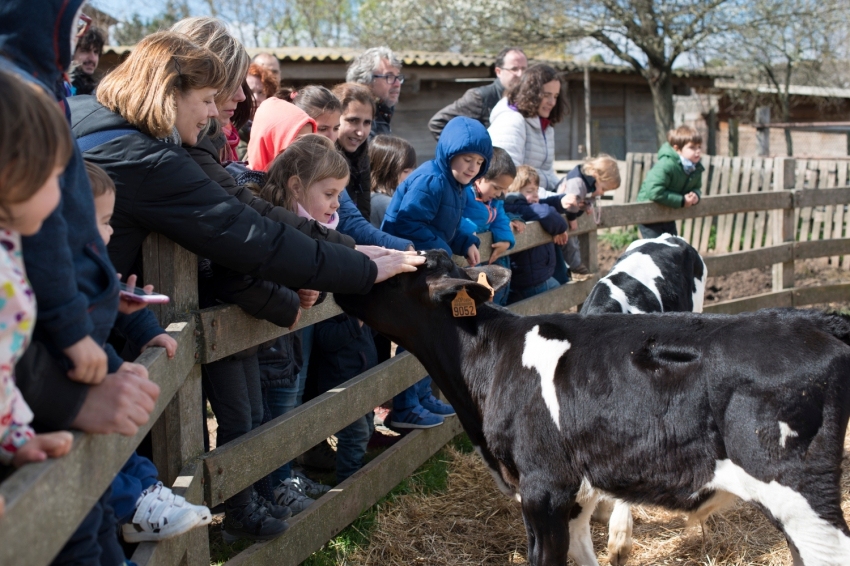 Mas Casablanca (MasCasablanca 11)