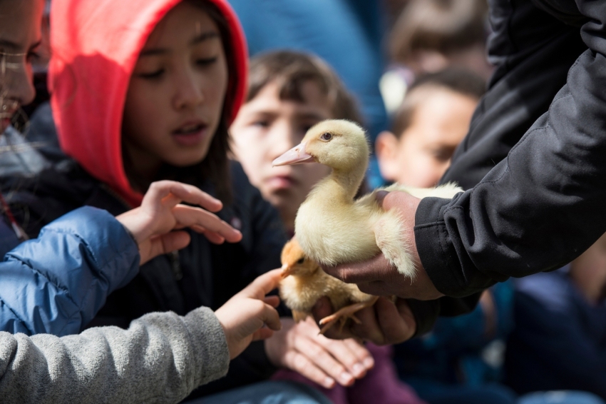 Mas Casablanca (MasCasablanca 13)