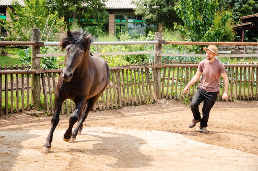 Mas Casablanca (MasCasablanca 18)
