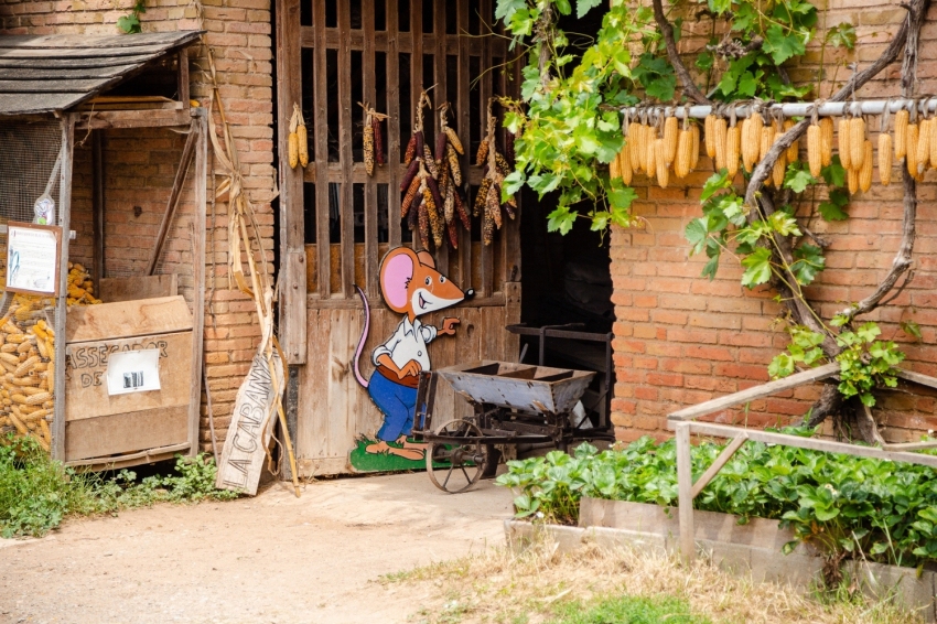 Mas Casablanca (MasCasablanca 19)