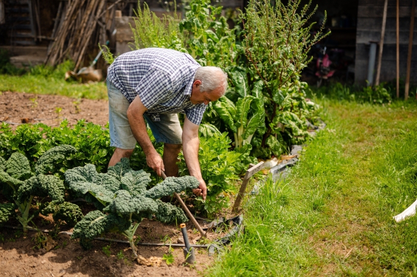 Mas Casablanca (MasCasablanca 20)