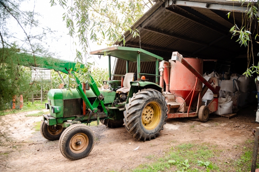 Mas Casablanca (MasCasablanca 23)