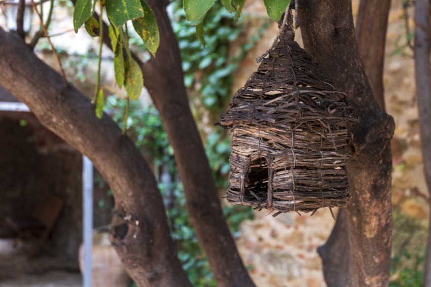 Hostal Can Xicu (Hostal Can Xicu Exterior)