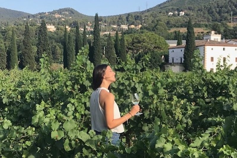 Bodegues Sumarroca (Gaudeix El Vi)